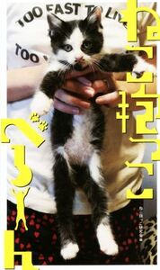 写真集 ねこ抱っこべろーん/ねこ抱っこ研究会(編者)