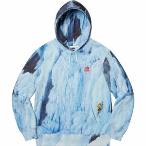 ☆ 21SS Supreme シュプリーム THE NORTH FACE Ice Climb Hooded Sweatshirt ノースフェイス アイス クライム スウェット パーカー (M)GSSG