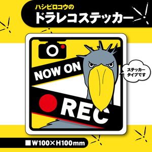 【ハシビロコウのドラレコステッカー】ドライブレコーダーステッカー／カーステッカー／防犯カメラステッカー