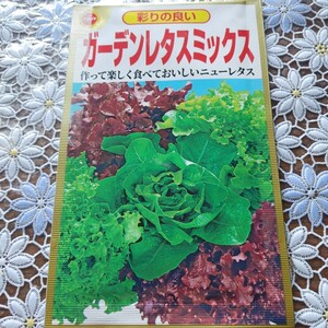 【匿名配送】野菜　たね　ーー手作りのサラダ　いいねー 