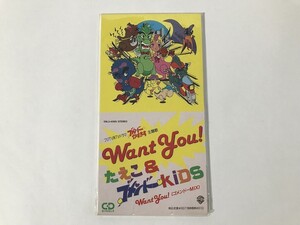 SL608 たえこ＆ゴメンドーKIDS / WANTYOU! 8㎝シングル 【CD】 0818