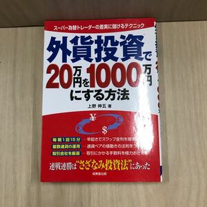 697 古本 100円スタート 外貨投資で20万円を1000万円にする方法 ビジネス 経済 マネープラン 成美堂出版