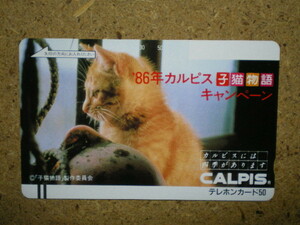 neko・110-5706　子猫物語　カルピス　テレカ