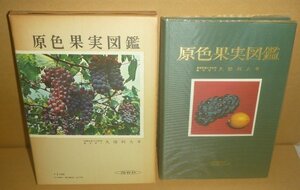 植物：果物1962『原色果実図鑑／保育社の原色図鑑29』 久保利夫 著