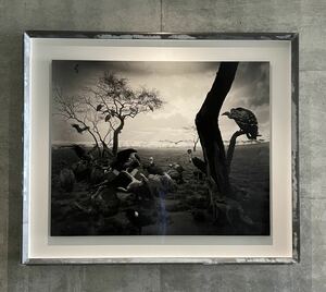 新品 杉本博司 ハイエナ、ジャッカル、コンドル 数量限定ポスター HIROSHI SUGIMOTO