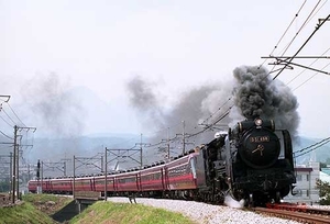 【鉄道写真】D51 498＋サロンエクスプレス東京 [9005211]