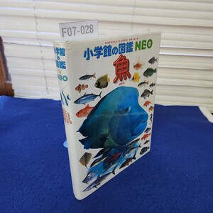 F07-028 小学館の図鑑NEO 魚 カバー裏表紙側に書き込み、傷みあり