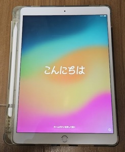 ■中古品■ Apple iPad Pro 10.5インチ シルバー WiFiモデル 64GB Pencil・ケース付