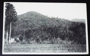 502☆☆絵葉書・戦前・越後村杉温泉場城山・絵はがき☆