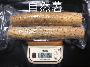 栃木県産 自然薯 1kg以上 真空パック