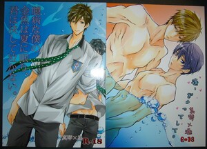 【同人誌2冊/Free!/遙、ぎゅってして。/臆病な僕の金魚は夏に眠り、君は決して泣かない。/真琴×遙 マコハル】Tcell/だん