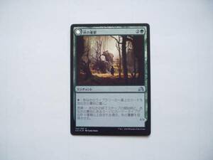 バイン　MTG 秋の憂鬱/Autumnal Gloom foil 日本語2枚