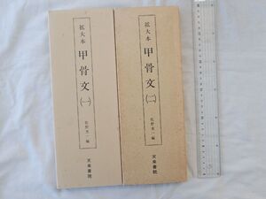 0032038 拡大本 甲骨文 1、2 2冊 佐野光一 1994.1999年