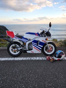 最終値下げ出品。HONDAホンダNSR50後期希少カラーAJINOMOTO　HONDA清水レプリカ青テラTERRA BLUE美車　峠埠頭バリバリマシン　モトチャンプ