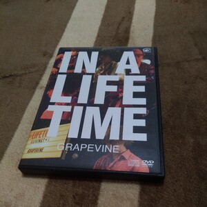 GRAPEVINE DVD IN A LIFETIME グレイプバイン LIVE 音源CD付属 2014.5.19@渋谷AX 代表作アルバムLifetimeを完全再現したプレミアムLIVE