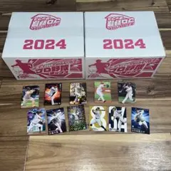 プロ野球チップス 2024 第1弾 カード48枚付き