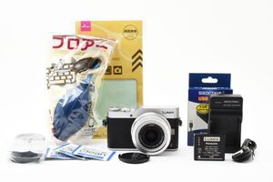 ■ショット数2336枚■LUMIX DC-GF9+　標準レンズキット