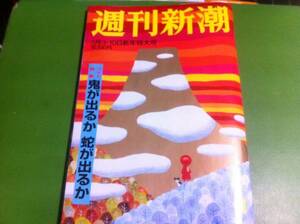 週刊新潮　2013.1.3・10　新年特大号