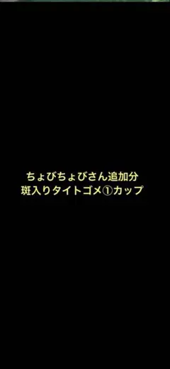 ちょびちょびさん追加分 斑入りタイトゴメ①カップ