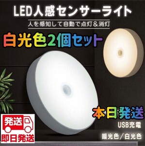 人感センサー 白光色 人感ライト　人感センサーライト　電球色 LED ワイヤレス 自動点灯 小型 常夜灯 USB充電式 センサーライト ライト