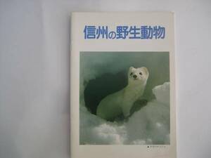 【冊子(パンフ)】『信州の野生動物』／B6・22ページ