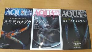 月刊アクアライフ　3冊セット　2019.11 次世代のメダカ　2020.5輝くメダカの春に　2020.11 天下一メダカ博覧会　中古品