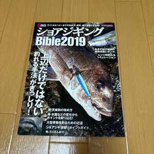 ショアジギングバイブル　2019 ジギング　釣りの本　ハウツー本