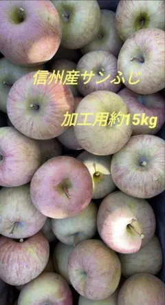 信州産サンふじりんご　傷無し青玉加工用約15kg