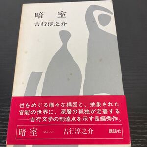 暗室　吉行淳之介　講談社