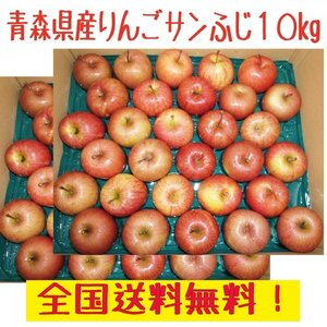 青森県産　りんご　サンふじ 　小玉　訳あり　１０kg　　送料無料！