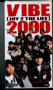 H00023896/VHSビデオ/真心ブラザーズ「VIBE 2000 JOY 2 THE LIFE」