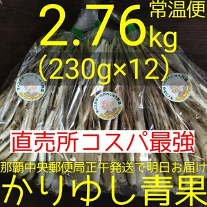 〈直売所コスパ最強〉沖縄県産　Ｋおばーの島らっきょう約2.76kg（230g×12）【常温便無料】①