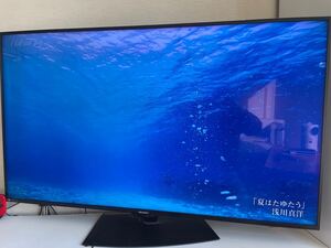 8T-C60BW1 SHARP 8Kパネル 4Kテレビ