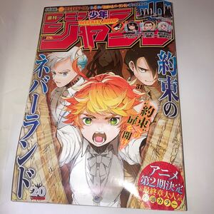 週刊少年ジャンプ 2019年　20号 巻頭カラー 約束のネバーランド ONE PIECE 鬼滅の刃 呪術廻戦 食戟のソーマ チェンソーマン　集英社