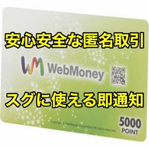 【即時発送】【匿名取引】WebMoney 5000POINT（5000円分) ウェブマネー 5000ポイント Web Money ウェブ マネー WEBマネー 2000 1000 10000