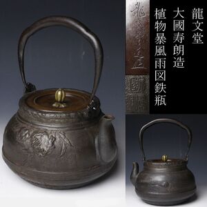 【LIG】龍文堂 大國寿朗造 植物暴風雨図鉄瓶 茶道具 古美術品 旧家蔵出品 [.EE]24.12