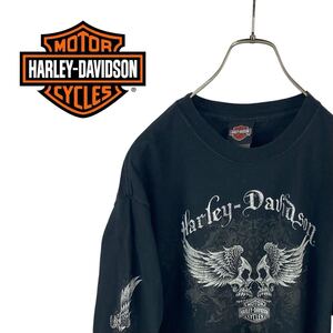 10M470◯ 00s HARLEY-DAVIDSON × Hanes BEEFY ヴィンテージ USA製 ハーレーダビッドソン ブラック スカル ロンT カットソー トップス L