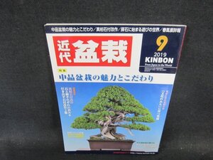 近代盆栽2019年9月号　中品盆栽の魅力とこだわり/ECV