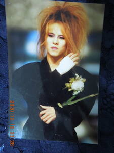 YOSHIKI 写真 ブロマイド 456 / X JAPAN