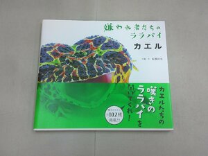 嫌われ者たちのララバイ カエル　松橋利光 文・写真