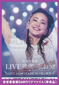 ◇安室奈美恵◇クリアファイル◇ＬＩＶＥ　ＤＡＭ◇非売品◇