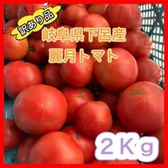 【訳あり品】農家直送 大玉トマト 麗月 4Kg 加工用 加熱用 飛騨トマト