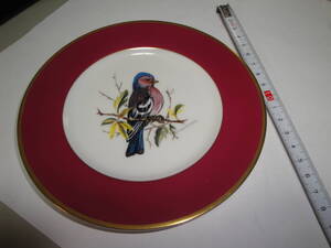 ☆深川製陶製《インテリア用鳥絵皿:１枚（CHAFFINCH”ズアオアトリ” )》☆送料４50円 置物 ブランド 収集趣味