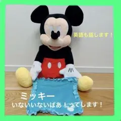 出産祝い ディズニーPeek a boo! ミッキーマウス