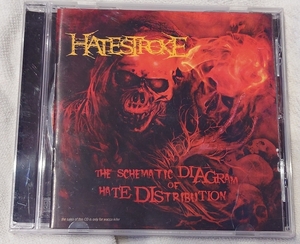 Hatestroke - The Schematic Diagram of Hate Distribution ブルータルデスメタル グラインドコア インドネシア