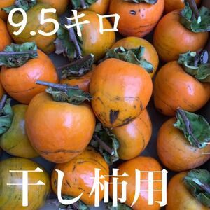 渋柿9.5キロ 蜂屋柿　自家製干し柿作り用