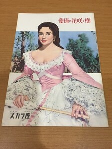 エリザベス・テイラー 直筆サイン入り映画パンフレット 当時品『愛情の花咲く樹』（1958年）日比谷スカラ座 [Elizabeth Taylor][テーラー]