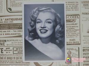 ★☆★21015-ExHS★☆★[MARILYN MONROE-STICKER] マリリン・モンロー