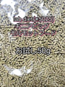 ギニアピッグ ラブダイエット 5025 モルモットフード 50g lab diet デグー チンチラ モルモット 小動物