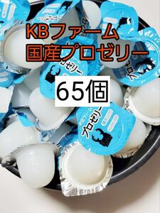 【送料無料】 国産 プロゼリー16g 65個 KBファーム 昆虫ゼリー カブトムシ クワガタ ハムスター等 小動物